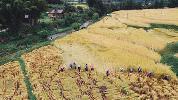 BIB: 
                            <button type="button" onclick="openModal(13497848)" class="btn btn-primary btn-sm float-right btn-popup" data-toggle="modal" data-target=".modal-high-quality">
                        <i class="fas fa-shopping-cart"></i> Add to Cart
                    </button>
                                            <button type="button" onclick="isThisMe(13497848, true)" class="btn btn-success btn-sm float-right btn-popup btn-isme hidden" data-toggle="tooltip" data-placement="bottom" title="นี่คือรูปของคุณใช่ไหม คลิกที่นี่เพื่อเอาเข้าอัลบั้ม">
                        <i class="fas fa-plus"></i> Add to album
                    </button>
                    <button type="button" onclick="isThisMe(13497848, false)" class="btn btn-warning btn-sm float-right btn-popup btn-isnotme hidden">
                        <i class="fas fa-ban"></i> Remove from album
                    </button>