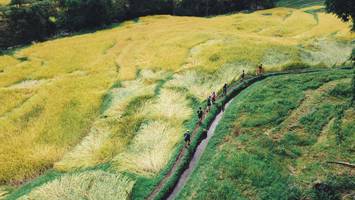 BIB: 
                            <button type="button" onclick="openModal(13497854)" class="btn btn-primary btn-sm float-right btn-popup" data-toggle="modal" data-target=".modal-high-quality">
                        <i class="fas fa-shopping-cart"></i> Add to Cart
                    </button>
                                            <button type="button" onclick="isThisMe(13497854, true)" class="btn btn-success btn-sm float-right btn-popup btn-isme hidden" data-toggle="tooltip" data-placement="bottom" title="นี่คือรูปของคุณใช่ไหม คลิกที่นี่เพื่อเอาเข้าอัลบั้ม">
                        <i class="fas fa-plus"></i> Add to album
                    </button>
                    <button type="button" onclick="isThisMe(13497854, false)" class="btn btn-warning btn-sm float-right btn-popup btn-isnotme hidden">
                        <i class="fas fa-ban"></i> Remove from album
                    </button>