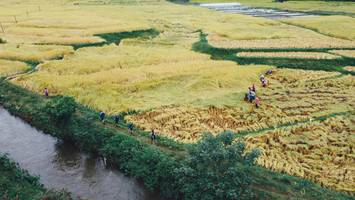 BIB: 
                            <button type="button" onclick="openModal(13497846)" class="btn btn-primary btn-sm float-right btn-popup" data-toggle="modal" data-target=".modal-high-quality">
                        <i class="fas fa-shopping-cart"></i> Add to Cart
                    </button>
                                            <button type="button" onclick="isThisMe(13497846, true)" class="btn btn-success btn-sm float-right btn-popup btn-isme hidden" data-toggle="tooltip" data-placement="bottom" title="นี่คือรูปของคุณใช่ไหม คลิกที่นี่เพื่อเอาเข้าอัลบั้ม">
                        <i class="fas fa-plus"></i> Add to album
                    </button>
                    <button type="button" onclick="isThisMe(13497846, false)" class="btn btn-warning btn-sm float-right btn-popup btn-isnotme hidden">
                        <i class="fas fa-ban"></i> Remove from album
                    </button>