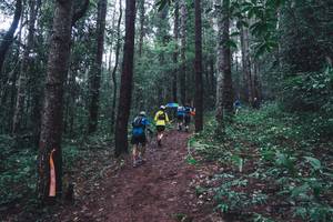 BIB: 
                            <button type="button" onclick="openModal(13496674)" class="btn btn-primary btn-sm float-right btn-popup" data-toggle="modal" data-target=".modal-high-quality">
                        <i class="fas fa-shopping-cart"></i> Add to Cart
                    </button>
                                            <button type="button" onclick="isThisMe(13496674, true)" class="btn btn-success btn-sm float-right btn-popup btn-isme hidden" data-toggle="tooltip" data-placement="bottom" title="นี่คือรูปของคุณใช่ไหม คลิกที่นี่เพื่อเอาเข้าอัลบั้ม">
                        <i class="fas fa-plus"></i> Add to album
                    </button>
                    <button type="button" onclick="isThisMe(13496674, false)" class="btn btn-warning btn-sm float-right btn-popup btn-isnotme hidden">
                        <i class="fas fa-ban"></i> Remove from album
                    </button>