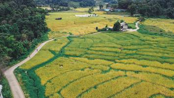 BIB: 
                            <button type="button" onclick="openModal(13497827)" class="btn btn-primary btn-sm float-right btn-popup" data-toggle="modal" data-target=".modal-high-quality">
                        <i class="fas fa-shopping-cart"></i> Add to Cart
                    </button>
                                            <button type="button" onclick="isThisMe(13497827, true)" class="btn btn-success btn-sm float-right btn-popup btn-isme hidden" data-toggle="tooltip" data-placement="bottom" title="นี่คือรูปของคุณใช่ไหม คลิกที่นี่เพื่อเอาเข้าอัลบั้ม">
                        <i class="fas fa-plus"></i> Add to album
                    </button>
                    <button type="button" onclick="isThisMe(13497827, false)" class="btn btn-warning btn-sm float-right btn-popup btn-isnotme hidden">
                        <i class="fas fa-ban"></i> Remove from album
                    </button>