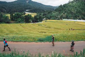 BIB: 
                            <button type="button" onclick="openModal(13496947)" class="btn btn-primary btn-sm float-right btn-popup" data-toggle="modal" data-target=".modal-high-quality">
                        <i class="fas fa-shopping-cart"></i> Add to Cart
                    </button>
                                            <button type="button" onclick="isThisMe(13496947, true)" class="btn btn-success btn-sm float-right btn-popup btn-isme hidden" data-toggle="tooltip" data-placement="bottom" title="นี่คือรูปของคุณใช่ไหม คลิกที่นี่เพื่อเอาเข้าอัลบั้ม">
                        <i class="fas fa-plus"></i> Add to album
                    </button>
                    <button type="button" onclick="isThisMe(13496947, false)" class="btn btn-warning btn-sm float-right btn-popup btn-isnotme hidden">
                        <i class="fas fa-ban"></i> Remove from album
                    </button>