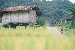 BIB: 
                            <button type="button" onclick="openModal(13496832)" class="btn btn-primary btn-sm float-right btn-popup" data-toggle="modal" data-target=".modal-high-quality">
                        <i class="fas fa-shopping-cart"></i> Add to Cart
                    </button>
                                            <button type="button" onclick="isThisMe(13496832, true)" class="btn btn-success btn-sm float-right btn-popup btn-isme hidden" data-toggle="tooltip" data-placement="bottom" title="นี่คือรูปของคุณใช่ไหม คลิกที่นี่เพื่อเอาเข้าอัลบั้ม">
                        <i class="fas fa-plus"></i> Add to album
                    </button>
                    <button type="button" onclick="isThisMe(13496832, false)" class="btn btn-warning btn-sm float-right btn-popup btn-isnotme hidden">
                        <i class="fas fa-ban"></i> Remove from album
                    </button>