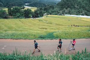 BIB: 
                            <button type="button" onclick="openModal(13496940)" class="btn btn-primary btn-sm float-right btn-popup" data-toggle="modal" data-target=".modal-high-quality">
                        <i class="fas fa-shopping-cart"></i> Add to Cart
                    </button>
                                            <button type="button" onclick="isThisMe(13496940, true)" class="btn btn-success btn-sm float-right btn-popup btn-isme hidden" data-toggle="tooltip" data-placement="bottom" title="นี่คือรูปของคุณใช่ไหม คลิกที่นี่เพื่อเอาเข้าอัลบั้ม">
                        <i class="fas fa-plus"></i> Add to album
                    </button>
                    <button type="button" onclick="isThisMe(13496940, false)" class="btn btn-warning btn-sm float-right btn-popup btn-isnotme hidden">
                        <i class="fas fa-ban"></i> Remove from album
                    </button>