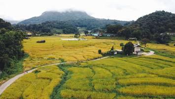 BIB: 
                            <button type="button" onclick="openModal(13497819)" class="btn btn-primary btn-sm float-right btn-popup" data-toggle="modal" data-target=".modal-high-quality">
                        <i class="fas fa-shopping-cart"></i> Add to Cart
                    </button>
                                            <button type="button" onclick="isThisMe(13497819, true)" class="btn btn-success btn-sm float-right btn-popup btn-isme hidden" data-toggle="tooltip" data-placement="bottom" title="นี่คือรูปของคุณใช่ไหม คลิกที่นี่เพื่อเอาเข้าอัลบั้ม">
                        <i class="fas fa-plus"></i> Add to album
                    </button>
                    <button type="button" onclick="isThisMe(13497819, false)" class="btn btn-warning btn-sm float-right btn-popup btn-isnotme hidden">
                        <i class="fas fa-ban"></i> Remove from album
                    </button>