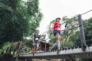 BIB: 
                            <button type="button" onclick="openModal(13496973)" class="btn btn-primary btn-sm float-right btn-popup" data-toggle="modal" data-target=".modal-high-quality">
                        <i class="fas fa-shopping-cart"></i> Add to Cart
                    </button>
                                            <button type="button" onclick="isThisMe(13496973, true)" class="btn btn-success btn-sm float-right btn-popup btn-isme hidden" data-toggle="tooltip" data-placement="bottom" title="นี่คือรูปของคุณใช่ไหม คลิกที่นี่เพื่อเอาเข้าอัลบั้ม">
                        <i class="fas fa-plus"></i> Add to album
                    </button>
                    <button type="button" onclick="isThisMe(13496973, false)" class="btn btn-warning btn-sm float-right btn-popup btn-isnotme hidden">
                        <i class="fas fa-ban"></i> Remove from album
                    </button>