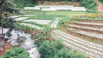 BIB: 
                            <button type="button" onclick="openModal(13497835)" class="btn btn-primary btn-sm float-right btn-popup" data-toggle="modal" data-target=".modal-high-quality">
                        <i class="fas fa-shopping-cart"></i> Add to Cart
                    </button>
                                            <button type="button" onclick="isThisMe(13497835, true)" class="btn btn-success btn-sm float-right btn-popup btn-isme hidden" data-toggle="tooltip" data-placement="bottom" title="นี่คือรูปของคุณใช่ไหม คลิกที่นี่เพื่อเอาเข้าอัลบั้ม">
                        <i class="fas fa-plus"></i> Add to album
                    </button>
                    <button type="button" onclick="isThisMe(13497835, false)" class="btn btn-warning btn-sm float-right btn-popup btn-isnotme hidden">
                        <i class="fas fa-ban"></i> Remove from album
                    </button>