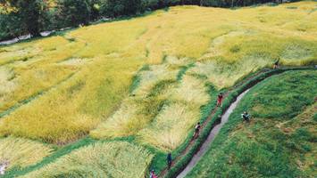 BIB: 
                            <button type="button" onclick="openModal(13497853)" class="btn btn-primary btn-sm float-right btn-popup" data-toggle="modal" data-target=".modal-high-quality">
                        <i class="fas fa-shopping-cart"></i> Add to Cart
                    </button>
                                            <button type="button" onclick="isThisMe(13497853, true)" class="btn btn-success btn-sm float-right btn-popup btn-isme hidden" data-toggle="tooltip" data-placement="bottom" title="นี่คือรูปของคุณใช่ไหม คลิกที่นี่เพื่อเอาเข้าอัลบั้ม">
                        <i class="fas fa-plus"></i> Add to album
                    </button>
                    <button type="button" onclick="isThisMe(13497853, false)" class="btn btn-warning btn-sm float-right btn-popup btn-isnotme hidden">
                        <i class="fas fa-ban"></i> Remove from album
                    </button>