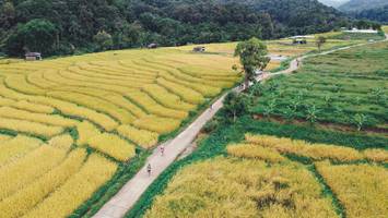 BIB: 
                            <button type="button" onclick="openModal(13497823)" class="btn btn-primary btn-sm float-right btn-popup" data-toggle="modal" data-target=".modal-high-quality">
                        <i class="fas fa-shopping-cart"></i> Add to Cart
                    </button>
                                            <button type="button" onclick="isThisMe(13497823, true)" class="btn btn-success btn-sm float-right btn-popup btn-isme hidden" data-toggle="tooltip" data-placement="bottom" title="นี่คือรูปของคุณใช่ไหม คลิกที่นี่เพื่อเอาเข้าอัลบั้ม">
                        <i class="fas fa-plus"></i> Add to album
                    </button>
                    <button type="button" onclick="isThisMe(13497823, false)" class="btn btn-warning btn-sm float-right btn-popup btn-isnotme hidden">
                        <i class="fas fa-ban"></i> Remove from album
                    </button>