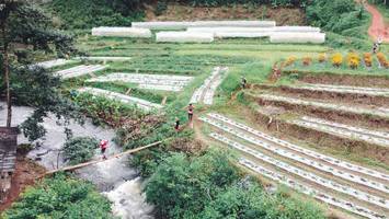 BIB: 
                            <button type="button" onclick="openModal(13497836)" class="btn btn-primary btn-sm float-right btn-popup" data-toggle="modal" data-target=".modal-high-quality">
                        <i class="fas fa-shopping-cart"></i> Add to Cart
                    </button>
                                            <button type="button" onclick="isThisMe(13497836, true)" class="btn btn-success btn-sm float-right btn-popup btn-isme hidden" data-toggle="tooltip" data-placement="bottom" title="นี่คือรูปของคุณใช่ไหม คลิกที่นี่เพื่อเอาเข้าอัลบั้ม">
                        <i class="fas fa-plus"></i> Add to album
                    </button>
                    <button type="button" onclick="isThisMe(13497836, false)" class="btn btn-warning btn-sm float-right btn-popup btn-isnotme hidden">
                        <i class="fas fa-ban"></i> Remove from album
                    </button>