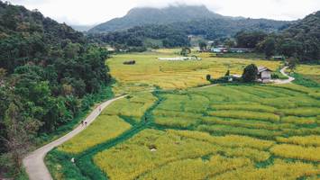 BIB: 
                            <button type="button" onclick="openModal(13497816)" class="btn btn-primary btn-sm float-right btn-popup" data-toggle="modal" data-target=".modal-high-quality">
                        <i class="fas fa-shopping-cart"></i> Add to Cart
                    </button>
                                            <button type="button" onclick="isThisMe(13497816, true)" class="btn btn-success btn-sm float-right btn-popup btn-isme hidden" data-toggle="tooltip" data-placement="bottom" title="นี่คือรูปของคุณใช่ไหม คลิกที่นี่เพื่อเอาเข้าอัลบั้ม">
                        <i class="fas fa-plus"></i> Add to album
                    </button>
                    <button type="button" onclick="isThisMe(13497816, false)" class="btn btn-warning btn-sm float-right btn-popup btn-isnotme hidden">
                        <i class="fas fa-ban"></i> Remove from album
                    </button>