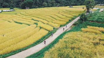 BIB: 
                            <button type="button" onclick="openModal(13497825)" class="btn btn-primary btn-sm float-right btn-popup" data-toggle="modal" data-target=".modal-high-quality">
                        <i class="fas fa-shopping-cart"></i> Add to Cart
                    </button>
                                            <button type="button" onclick="isThisMe(13497825, true)" class="btn btn-success btn-sm float-right btn-popup btn-isme hidden" data-toggle="tooltip" data-placement="bottom" title="นี่คือรูปของคุณใช่ไหม คลิกที่นี่เพื่อเอาเข้าอัลบั้ม">
                        <i class="fas fa-plus"></i> Add to album
                    </button>
                    <button type="button" onclick="isThisMe(13497825, false)" class="btn btn-warning btn-sm float-right btn-popup btn-isnotme hidden">
                        <i class="fas fa-ban"></i> Remove from album
                    </button>