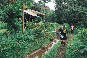 BIB: 
                            <button type="button" onclick="openModal(13496931)" class="btn btn-primary btn-sm float-right btn-popup" data-toggle="modal" data-target=".modal-high-quality">
                        <i class="fas fa-shopping-cart"></i> Add to Cart
                    </button>
                                            <button type="button" onclick="isThisMe(13496931, true)" class="btn btn-success btn-sm float-right btn-popup btn-isme hidden" data-toggle="tooltip" data-placement="bottom" title="นี่คือรูปของคุณใช่ไหม คลิกที่นี่เพื่อเอาเข้าอัลบั้ม">
                        <i class="fas fa-plus"></i> Add to album
                    </button>
                    <button type="button" onclick="isThisMe(13496931, false)" class="btn btn-warning btn-sm float-right btn-popup btn-isnotme hidden">
                        <i class="fas fa-ban"></i> Remove from album
                    </button>