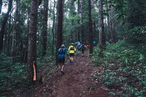 BIB: 
                            <button type="button" onclick="openModal(13496673)" class="btn btn-primary btn-sm float-right btn-popup" data-toggle="modal" data-target=".modal-high-quality">
                        <i class="fas fa-shopping-cart"></i> Add to Cart
                    </button>
                                            <button type="button" onclick="isThisMe(13496673, true)" class="btn btn-success btn-sm float-right btn-popup btn-isme hidden" data-toggle="tooltip" data-placement="bottom" title="นี่คือรูปของคุณใช่ไหม คลิกที่นี่เพื่อเอาเข้าอัลบั้ม">
                        <i class="fas fa-plus"></i> Add to album
                    </button>
                    <button type="button" onclick="isThisMe(13496673, false)" class="btn btn-warning btn-sm float-right btn-popup btn-isnotme hidden">
                        <i class="fas fa-ban"></i> Remove from album
                    </button>