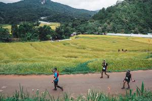 BIB: 
                            <button type="button" onclick="openModal(13496944)" class="btn btn-primary btn-sm float-right btn-popup" data-toggle="modal" data-target=".modal-high-quality">
                        <i class="fas fa-shopping-cart"></i> Add to Cart
                    </button>
                                            <button type="button" onclick="isThisMe(13496944, true)" class="btn btn-success btn-sm float-right btn-popup btn-isme hidden" data-toggle="tooltip" data-placement="bottom" title="นี่คือรูปของคุณใช่ไหม คลิกที่นี่เพื่อเอาเข้าอัลบั้ม">
                        <i class="fas fa-plus"></i> Add to album
                    </button>
                    <button type="button" onclick="isThisMe(13496944, false)" class="btn btn-warning btn-sm float-right btn-popup btn-isnotme hidden">
                        <i class="fas fa-ban"></i> Remove from album
                    </button>