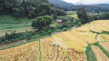 BIB: 
                            <button type="button" onclick="openModal(13497841)" class="btn btn-primary btn-sm float-right btn-popup" data-toggle="modal" data-target=".modal-high-quality">
                        <i class="fas fa-shopping-cart"></i> Add to Cart
                    </button>
                                            <button type="button" onclick="isThisMe(13497841, true)" class="btn btn-success btn-sm float-right btn-popup btn-isme hidden" data-toggle="tooltip" data-placement="bottom" title="นี่คือรูปของคุณใช่ไหม คลิกที่นี่เพื่อเอาเข้าอัลบั้ม">
                        <i class="fas fa-plus"></i> Add to album
                    </button>
                    <button type="button" onclick="isThisMe(13497841, false)" class="btn btn-warning btn-sm float-right btn-popup btn-isnotme hidden">
                        <i class="fas fa-ban"></i> Remove from album
                    </button>