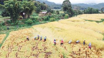 BIB: 
                            <button type="button" onclick="openModal(13497851)" class="btn btn-primary btn-sm float-right btn-popup" data-toggle="modal" data-target=".modal-high-quality">
                        <i class="fas fa-shopping-cart"></i> Add to Cart
                    </button>
                                            <button type="button" onclick="isThisMe(13497851, true)" class="btn btn-success btn-sm float-right btn-popup btn-isme hidden" data-toggle="tooltip" data-placement="bottom" title="นี่คือรูปของคุณใช่ไหม คลิกที่นี่เพื่อเอาเข้าอัลบั้ม">
                        <i class="fas fa-plus"></i> Add to album
                    </button>
                    <button type="button" onclick="isThisMe(13497851, false)" class="btn btn-warning btn-sm float-right btn-popup btn-isnotme hidden">
                        <i class="fas fa-ban"></i> Remove from album
                    </button>