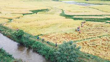 BIB: 
                            <button type="button" onclick="openModal(13497843)" class="btn btn-primary btn-sm float-right btn-popup" data-toggle="modal" data-target=".modal-high-quality">
                        <i class="fas fa-shopping-cart"></i> Add to Cart
                    </button>
                                            <button type="button" onclick="isThisMe(13497843, true)" class="btn btn-success btn-sm float-right btn-popup btn-isme hidden" data-toggle="tooltip" data-placement="bottom" title="นี่คือรูปของคุณใช่ไหม คลิกที่นี่เพื่อเอาเข้าอัลบั้ม">
                        <i class="fas fa-plus"></i> Add to album
                    </button>
                    <button type="button" onclick="isThisMe(13497843, false)" class="btn btn-warning btn-sm float-right btn-popup btn-isnotme hidden">
                        <i class="fas fa-ban"></i> Remove from album
                    </button>