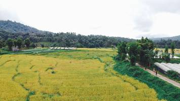 BIB: 
                            <button type="button" onclick="openModal(13497820)" class="btn btn-primary btn-sm float-right btn-popup" data-toggle="modal" data-target=".modal-high-quality">
                        <i class="fas fa-shopping-cart"></i> Add to Cart
                    </button>
                                            <button type="button" onclick="isThisMe(13497820, true)" class="btn btn-success btn-sm float-right btn-popup btn-isme hidden" data-toggle="tooltip" data-placement="bottom" title="นี่คือรูปของคุณใช่ไหม คลิกที่นี่เพื่อเอาเข้าอัลบั้ม">
                        <i class="fas fa-plus"></i> Add to album
                    </button>
                    <button type="button" onclick="isThisMe(13497820, false)" class="btn btn-warning btn-sm float-right btn-popup btn-isnotme hidden">
                        <i class="fas fa-ban"></i> Remove from album
                    </button>