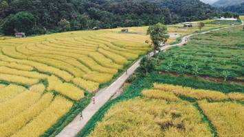 BIB: 
                            <button type="button" onclick="openModal(13497824)" class="btn btn-primary btn-sm float-right btn-popup" data-toggle="modal" data-target=".modal-high-quality">
                        <i class="fas fa-shopping-cart"></i> Add to Cart
                    </button>
                                            <button type="button" onclick="isThisMe(13497824, true)" class="btn btn-success btn-sm float-right btn-popup btn-isme hidden" data-toggle="tooltip" data-placement="bottom" title="นี่คือรูปของคุณใช่ไหม คลิกที่นี่เพื่อเอาเข้าอัลบั้ม">
                        <i class="fas fa-plus"></i> Add to album
                    </button>
                    <button type="button" onclick="isThisMe(13497824, false)" class="btn btn-warning btn-sm float-right btn-popup btn-isnotme hidden">
                        <i class="fas fa-ban"></i> Remove from album
                    </button>