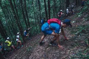 BIB: 
                            <button type="button" onclick="openModal(13496681)" class="btn btn-primary btn-sm float-right btn-popup" data-toggle="modal" data-target=".modal-high-quality">
                        <i class="fas fa-shopping-cart"></i> Add to Cart
                    </button>
                                            <button type="button" onclick="isThisMe(13496681, true)" class="btn btn-success btn-sm float-right btn-popup btn-isme hidden" data-toggle="tooltip" data-placement="bottom" title="นี่คือรูปของคุณใช่ไหม คลิกที่นี่เพื่อเอาเข้าอัลบั้ม">
                        <i class="fas fa-plus"></i> Add to album
                    </button>
                    <button type="button" onclick="isThisMe(13496681, false)" class="btn btn-warning btn-sm float-right btn-popup btn-isnotme hidden">
                        <i class="fas fa-ban"></i> Remove from album
                    </button>