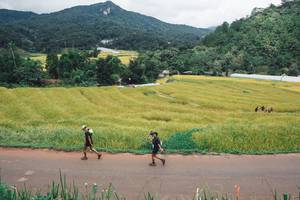 BIB: 
                            <button type="button" onclick="openModal(13496948)" class="btn btn-primary btn-sm float-right btn-popup" data-toggle="modal" data-target=".modal-high-quality">
                        <i class="fas fa-shopping-cart"></i> Add to Cart
                    </button>
                                            <button type="button" onclick="isThisMe(13496948, true)" class="btn btn-success btn-sm float-right btn-popup btn-isme hidden" data-toggle="tooltip" data-placement="bottom" title="นี่คือรูปของคุณใช่ไหม คลิกที่นี่เพื่อเอาเข้าอัลบั้ม">
                        <i class="fas fa-plus"></i> Add to album
                    </button>
                    <button type="button" onclick="isThisMe(13496948, false)" class="btn btn-warning btn-sm float-right btn-popup btn-isnotme hidden">
                        <i class="fas fa-ban"></i> Remove from album
                    </button>