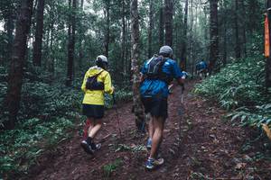 BIB: 
                            <button type="button" onclick="openModal(13496675)" class="btn btn-primary btn-sm float-right btn-popup" data-toggle="modal" data-target=".modal-high-quality">
                        <i class="fas fa-shopping-cart"></i> Add to Cart
                    </button>
                                            <button type="button" onclick="isThisMe(13496675, true)" class="btn btn-success btn-sm float-right btn-popup btn-isme hidden" data-toggle="tooltip" data-placement="bottom" title="นี่คือรูปของคุณใช่ไหม คลิกที่นี่เพื่อเอาเข้าอัลบั้ม">
                        <i class="fas fa-plus"></i> Add to album
                    </button>
                    <button type="button" onclick="isThisMe(13496675, false)" class="btn btn-warning btn-sm float-right btn-popup btn-isnotme hidden">
                        <i class="fas fa-ban"></i> Remove from album
                    </button>