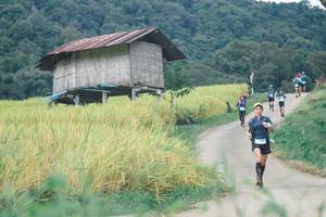 BIB: 
                            <button type="button" onclick="openModal(13496831)" class="btn btn-primary btn-sm float-right btn-popup" data-toggle="modal" data-target=".modal-high-quality">
                        <i class="fas fa-shopping-cart"></i> Add to Cart
                    </button>
                                            <button type="button" onclick="isThisMe(13496831, true)" class="btn btn-success btn-sm float-right btn-popup btn-isme hidden" data-toggle="tooltip" data-placement="bottom" title="นี่คือรูปของคุณใช่ไหม คลิกที่นี่เพื่อเอาเข้าอัลบั้ม">
                        <i class="fas fa-plus"></i> Add to album
                    </button>
                    <button type="button" onclick="isThisMe(13496831, false)" class="btn btn-warning btn-sm float-right btn-popup btn-isnotme hidden">
                        <i class="fas fa-ban"></i> Remove from album
                    </button>