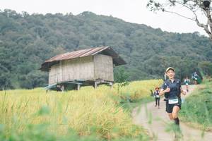 BIB: 
                            <button type="button" onclick="openModal(13496833)" class="btn btn-primary btn-sm float-right btn-popup" data-toggle="modal" data-target=".modal-high-quality">
                        <i class="fas fa-shopping-cart"></i> Add to Cart
                    </button>
                                            <button type="button" onclick="isThisMe(13496833, true)" class="btn btn-success btn-sm float-right btn-popup btn-isme hidden" data-toggle="tooltip" data-placement="bottom" title="นี่คือรูปของคุณใช่ไหม คลิกที่นี่เพื่อเอาเข้าอัลบั้ม">
                        <i class="fas fa-plus"></i> Add to album
                    </button>
                    <button type="button" onclick="isThisMe(13496833, false)" class="btn btn-warning btn-sm float-right btn-popup btn-isnotme hidden">
                        <i class="fas fa-ban"></i> Remove from album
                    </button>