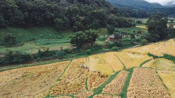 BIB: 
                            <button type="button" onclick="openModal(13497844)" class="btn btn-primary btn-sm float-right btn-popup" data-toggle="modal" data-target=".modal-high-quality">
                        <i class="fas fa-shopping-cart"></i> Add to Cart
                    </button>
                                            <button type="button" onclick="isThisMe(13497844, true)" class="btn btn-success btn-sm float-right btn-popup btn-isme hidden" data-toggle="tooltip" data-placement="bottom" title="นี่คือรูปของคุณใช่ไหม คลิกที่นี่เพื่อเอาเข้าอัลบั้ม">
                        <i class="fas fa-plus"></i> Add to album
                    </button>
                    <button type="button" onclick="isThisMe(13497844, false)" class="btn btn-warning btn-sm float-right btn-popup btn-isnotme hidden">
                        <i class="fas fa-ban"></i> Remove from album
                    </button>