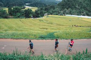 BIB: 
                            <button type="button" onclick="openModal(13496941)" class="btn btn-primary btn-sm float-right btn-popup" data-toggle="modal" data-target=".modal-high-quality">
                        <i class="fas fa-shopping-cart"></i> Add to Cart
                    </button>
                                            <button type="button" onclick="isThisMe(13496941, true)" class="btn btn-success btn-sm float-right btn-popup btn-isme hidden" data-toggle="tooltip" data-placement="bottom" title="นี่คือรูปของคุณใช่ไหม คลิกที่นี่เพื่อเอาเข้าอัลบั้ม">
                        <i class="fas fa-plus"></i> Add to album
                    </button>
                    <button type="button" onclick="isThisMe(13496941, false)" class="btn btn-warning btn-sm float-right btn-popup btn-isnotme hidden">
                        <i class="fas fa-ban"></i> Remove from album
                    </button>