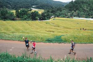 BIB: 
                            <button type="button" onclick="openModal(13496943)" class="btn btn-primary btn-sm float-right btn-popup" data-toggle="modal" data-target=".modal-high-quality">
                        <i class="fas fa-shopping-cart"></i> Add to Cart
                    </button>
                                            <button type="button" onclick="isThisMe(13496943, true)" class="btn btn-success btn-sm float-right btn-popup btn-isme hidden" data-toggle="tooltip" data-placement="bottom" title="นี่คือรูปของคุณใช่ไหม คลิกที่นี่เพื่อเอาเข้าอัลบั้ม">
                        <i class="fas fa-plus"></i> Add to album
                    </button>
                    <button type="button" onclick="isThisMe(13496943, false)" class="btn btn-warning btn-sm float-right btn-popup btn-isnotme hidden">
                        <i class="fas fa-ban"></i> Remove from album
                    </button>