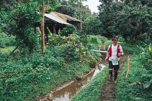 BIB: 
                            <button type="button" onclick="openModal(13496933)" class="btn btn-primary btn-sm float-right btn-popup" data-toggle="modal" data-target=".modal-high-quality">
                        <i class="fas fa-shopping-cart"></i> Add to Cart
                    </button>
                                            <button type="button" onclick="isThisMe(13496933, true)" class="btn btn-success btn-sm float-right btn-popup btn-isme hidden" data-toggle="tooltip" data-placement="bottom" title="นี่คือรูปของคุณใช่ไหม คลิกที่นี่เพื่อเอาเข้าอัลบั้ม">
                        <i class="fas fa-plus"></i> Add to album
                    </button>
                    <button type="button" onclick="isThisMe(13496933, false)" class="btn btn-warning btn-sm float-right btn-popup btn-isnotme hidden">
                        <i class="fas fa-ban"></i> Remove from album
                    </button>