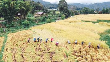 BIB: 
                            <button type="button" onclick="openModal(13497849)" class="btn btn-primary btn-sm float-right btn-popup" data-toggle="modal" data-target=".modal-high-quality">
                        <i class="fas fa-shopping-cart"></i> Add to Cart
                    </button>
                                            <button type="button" onclick="isThisMe(13497849, true)" class="btn btn-success btn-sm float-right btn-popup btn-isme hidden" data-toggle="tooltip" data-placement="bottom" title="นี่คือรูปของคุณใช่ไหม คลิกที่นี่เพื่อเอาเข้าอัลบั้ม">
                        <i class="fas fa-plus"></i> Add to album
                    </button>
                    <button type="button" onclick="isThisMe(13497849, false)" class="btn btn-warning btn-sm float-right btn-popup btn-isnotme hidden">
                        <i class="fas fa-ban"></i> Remove from album
                    </button>