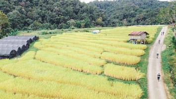 BIB: 
                            <button type="button" onclick="openModal(13497828)" class="btn btn-primary btn-sm float-right btn-popup" data-toggle="modal" data-target=".modal-high-quality">
                        <i class="fas fa-shopping-cart"></i> Add to Cart
                    </button>
                                            <button type="button" onclick="isThisMe(13497828, true)" class="btn btn-success btn-sm float-right btn-popup btn-isme hidden" data-toggle="tooltip" data-placement="bottom" title="นี่คือรูปของคุณใช่ไหม คลิกที่นี่เพื่อเอาเข้าอัลบั้ม">
                        <i class="fas fa-plus"></i> Add to album
                    </button>
                    <button type="button" onclick="isThisMe(13497828, false)" class="btn btn-warning btn-sm float-right btn-popup btn-isnotme hidden">
                        <i class="fas fa-ban"></i> Remove from album
                    </button>