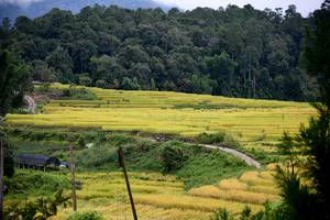 BIB: 
                            <button type="button" onclick="openModal(13500873)" class="btn btn-primary btn-sm float-right btn-popup" data-toggle="modal" data-target=".modal-high-quality">
                        <i class="fas fa-shopping-cart"></i> Add to Cart
                    </button>
                                            <button type="button" onclick="isThisMe(13500873, true)" class="btn btn-success btn-sm float-right btn-popup btn-isme hidden" data-toggle="tooltip" data-placement="bottom" title="นี่คือรูปของคุณใช่ไหม คลิกที่นี่เพื่อเอาเข้าอัลบั้ม">
                        <i class="fas fa-plus"></i> Add to album
                    </button>
                    <button type="button" onclick="isThisMe(13500873, false)" class="btn btn-warning btn-sm float-right btn-popup btn-isnotme hidden">
                        <i class="fas fa-ban"></i> Remove from album
                    </button>