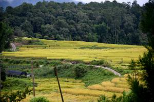 BIB: 
                            <button type="button" onclick="openModal(13500872)" class="btn btn-primary btn-sm float-right btn-popup" data-toggle="modal" data-target=".modal-high-quality">
                        <i class="fas fa-shopping-cart"></i> Add to Cart
                    </button>
                                            <button type="button" onclick="isThisMe(13500872, true)" class="btn btn-success btn-sm float-right btn-popup btn-isme hidden" data-toggle="tooltip" data-placement="bottom" title="นี่คือรูปของคุณใช่ไหม คลิกที่นี่เพื่อเอาเข้าอัลบั้ม">
                        <i class="fas fa-plus"></i> Add to album
                    </button>
                    <button type="button" onclick="isThisMe(13500872, false)" class="btn btn-warning btn-sm float-right btn-popup btn-isnotme hidden">
                        <i class="fas fa-ban"></i> Remove from album
                    </button>