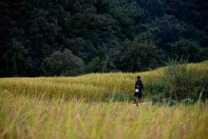 BIB: 
                            <button type="button" onclick="openModal(13500771)" class="btn btn-primary btn-sm float-right btn-popup" data-toggle="modal" data-target=".modal-high-quality">
                        <i class="fas fa-shopping-cart"></i> Add to Cart
                    </button>
                                            <button type="button" onclick="isThisMe(13500771, true)" class="btn btn-success btn-sm float-right btn-popup btn-isme hidden" data-toggle="tooltip" data-placement="bottom" title="นี่คือรูปของคุณใช่ไหม คลิกที่นี่เพื่อเอาเข้าอัลบั้ม">
                        <i class="fas fa-plus"></i> Add to album
                    </button>
                    <button type="button" onclick="isThisMe(13500771, false)" class="btn btn-warning btn-sm float-right btn-popup btn-isnotme hidden">
                        <i class="fas fa-ban"></i> Remove from album
                    </button>