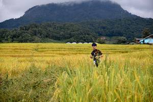 BIB: 
                            <button type="button" onclick="openModal(13500732)" class="btn btn-primary btn-sm float-right btn-popup" data-toggle="modal" data-target=".modal-high-quality">
                        <i class="fas fa-shopping-cart"></i> Add to Cart
                    </button>
                                            <button type="button" onclick="isThisMe(13500732, true)" class="btn btn-success btn-sm float-right btn-popup btn-isme hidden" data-toggle="tooltip" data-placement="bottom" title="นี่คือรูปของคุณใช่ไหม คลิกที่นี่เพื่อเอาเข้าอัลบั้ม">
                        <i class="fas fa-plus"></i> Add to album
                    </button>
                    <button type="button" onclick="isThisMe(13500732, false)" class="btn btn-warning btn-sm float-right btn-popup btn-isnotme hidden">
                        <i class="fas fa-ban"></i> Remove from album
                    </button>