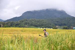 BIB: 
                            <button type="button" onclick="openModal(13500739)" class="btn btn-primary btn-sm float-right btn-popup" data-toggle="modal" data-target=".modal-high-quality">
                        <i class="fas fa-shopping-cart"></i> Add to Cart
                    </button>
                                            <button type="button" onclick="isThisMe(13500739, true)" class="btn btn-success btn-sm float-right btn-popup btn-isme hidden" data-toggle="tooltip" data-placement="bottom" title="นี่คือรูปของคุณใช่ไหม คลิกที่นี่เพื่อเอาเข้าอัลบั้ม">
                        <i class="fas fa-plus"></i> Add to album
                    </button>
                    <button type="button" onclick="isThisMe(13500739, false)" class="btn btn-warning btn-sm float-right btn-popup btn-isnotme hidden">
                        <i class="fas fa-ban"></i> Remove from album
                    </button>