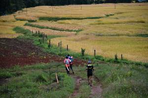 BIB: 
                            <button type="button" onclick="openModal(13500960)" class="btn btn-primary btn-sm float-right btn-popup" data-toggle="modal" data-target=".modal-high-quality">
                        <i class="fas fa-shopping-cart"></i> Add to Cart
                    </button>
                                            <button type="button" onclick="isThisMe(13500960, true)" class="btn btn-success btn-sm float-right btn-popup btn-isme hidden" data-toggle="tooltip" data-placement="bottom" title="นี่คือรูปของคุณใช่ไหม คลิกที่นี่เพื่อเอาเข้าอัลบั้ม">
                        <i class="fas fa-plus"></i> Add to album
                    </button>
                    <button type="button" onclick="isThisMe(13500960, false)" class="btn btn-warning btn-sm float-right btn-popup btn-isnotme hidden">
                        <i class="fas fa-ban"></i> Remove from album
                    </button>