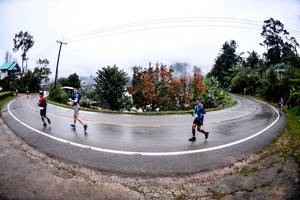 BIB: 
                            <button type="button" onclick="openModal(13500639)" class="btn btn-primary btn-sm float-right btn-popup" data-toggle="modal" data-target=".modal-high-quality">
                        <i class="fas fa-shopping-cart"></i> Add to Cart
                    </button>
                                            <button type="button" onclick="isThisMe(13500639, true)" class="btn btn-success btn-sm float-right btn-popup btn-isme hidden" data-toggle="tooltip" data-placement="bottom" title="นี่คือรูปของคุณใช่ไหม คลิกที่นี่เพื่อเอาเข้าอัลบั้ม">
                        <i class="fas fa-plus"></i> Add to album
                    </button>
                    <button type="button" onclick="isThisMe(13500639, false)" class="btn btn-warning btn-sm float-right btn-popup btn-isnotme hidden">
                        <i class="fas fa-ban"></i> Remove from album
                    </button>