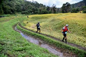 BIB: 
                            <button type="button" onclick="openModal(13501034)" class="btn btn-primary btn-sm float-right btn-popup" data-toggle="modal" data-target=".modal-high-quality">
                        <i class="fas fa-shopping-cart"></i> Add to Cart
                    </button>
                                            <button type="button" onclick="isThisMe(13501034, true)" class="btn btn-success btn-sm float-right btn-popup btn-isme hidden" data-toggle="tooltip" data-placement="bottom" title="นี่คือรูปของคุณใช่ไหม คลิกที่นี่เพื่อเอาเข้าอัลบั้ม">
                        <i class="fas fa-plus"></i> Add to album
                    </button>
                    <button type="button" onclick="isThisMe(13501034, false)" class="btn btn-warning btn-sm float-right btn-popup btn-isnotme hidden">
                        <i class="fas fa-ban"></i> Remove from album
                    </button>