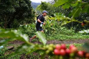 BIB: 
                            <button type="button" onclick="openModal(13501014)" class="btn btn-primary btn-sm float-right btn-popup" data-toggle="modal" data-target=".modal-high-quality">
                        <i class="fas fa-shopping-cart"></i> Add to Cart
                    </button>
                                            <button type="button" onclick="isThisMe(13501014, true)" class="btn btn-success btn-sm float-right btn-popup btn-isme hidden" data-toggle="tooltip" data-placement="bottom" title="นี่คือรูปของคุณใช่ไหม คลิกที่นี่เพื่อเอาเข้าอัลบั้ม">
                        <i class="fas fa-plus"></i> Add to album
                    </button>
                    <button type="button" onclick="isThisMe(13501014, false)" class="btn btn-warning btn-sm float-right btn-popup btn-isnotme hidden">
                        <i class="fas fa-ban"></i> Remove from album
                    </button>