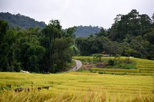 BIB: 
                            <button type="button" onclick="openModal(13500869)" class="btn btn-primary btn-sm float-right btn-popup" data-toggle="modal" data-target=".modal-high-quality">
                        <i class="fas fa-shopping-cart"></i> Add to Cart
                    </button>
                                            <button type="button" onclick="isThisMe(13500869, true)" class="btn btn-success btn-sm float-right btn-popup btn-isme hidden" data-toggle="tooltip" data-placement="bottom" title="นี่คือรูปของคุณใช่ไหม คลิกที่นี่เพื่อเอาเข้าอัลบั้ม">
                        <i class="fas fa-plus"></i> Add to album
                    </button>
                    <button type="button" onclick="isThisMe(13500869, false)" class="btn btn-warning btn-sm float-right btn-popup btn-isnotme hidden">
                        <i class="fas fa-ban"></i> Remove from album
                    </button>