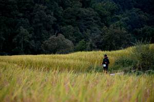 BIB: 
                            <button type="button" onclick="openModal(13500772)" class="btn btn-primary btn-sm float-right btn-popup" data-toggle="modal" data-target=".modal-high-quality">
                        <i class="fas fa-shopping-cart"></i> Add to Cart
                    </button>
                                            <button type="button" onclick="isThisMe(13500772, true)" class="btn btn-success btn-sm float-right btn-popup btn-isme hidden" data-toggle="tooltip" data-placement="bottom" title="นี่คือรูปของคุณใช่ไหม คลิกที่นี่เพื่อเอาเข้าอัลบั้ม">
                        <i class="fas fa-plus"></i> Add to album
                    </button>
                    <button type="button" onclick="isThisMe(13500772, false)" class="btn btn-warning btn-sm float-right btn-popup btn-isnotme hidden">
                        <i class="fas fa-ban"></i> Remove from album
                    </button>