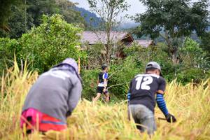 BIB: 
                            <button type="button" onclick="openModal(13500992)" class="btn btn-primary btn-sm float-right btn-popup" data-toggle="modal" data-target=".modal-high-quality">
                        <i class="fas fa-shopping-cart"></i> Add to Cart
                    </button>
                                            <button type="button" onclick="isThisMe(13500992, true)" class="btn btn-success btn-sm float-right btn-popup btn-isme hidden" data-toggle="tooltip" data-placement="bottom" title="นี่คือรูปของคุณใช่ไหม คลิกที่นี่เพื่อเอาเข้าอัลบั้ม">
                        <i class="fas fa-plus"></i> Add to album
                    </button>
                    <button type="button" onclick="isThisMe(13500992, false)" class="btn btn-warning btn-sm float-right btn-popup btn-isnotme hidden">
                        <i class="fas fa-ban"></i> Remove from album
                    </button>