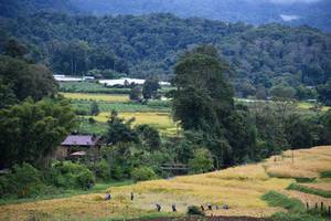 BIB: 
                            <button type="button" onclick="openModal(13500961)" class="btn btn-primary btn-sm float-right btn-popup" data-toggle="modal" data-target=".modal-high-quality">
                        <i class="fas fa-shopping-cart"></i> Add to Cart
                    </button>
                                            <button type="button" onclick="isThisMe(13500961, true)" class="btn btn-success btn-sm float-right btn-popup btn-isme hidden" data-toggle="tooltip" data-placement="bottom" title="นี่คือรูปของคุณใช่ไหม คลิกที่นี่เพื่อเอาเข้าอัลบั้ม">
                        <i class="fas fa-plus"></i> Add to album
                    </button>
                    <button type="button" onclick="isThisMe(13500961, false)" class="btn btn-warning btn-sm float-right btn-popup btn-isnotme hidden">
                        <i class="fas fa-ban"></i> Remove from album
                    </button>