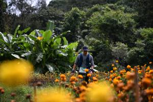 BIB: 
                            <button type="button" onclick="openModal(13500902)" class="btn btn-primary btn-sm float-right btn-popup" data-toggle="modal" data-target=".modal-high-quality">
                        <i class="fas fa-shopping-cart"></i> Add to Cart
                    </button>
                                            <button type="button" onclick="isThisMe(13500902, true)" class="btn btn-success btn-sm float-right btn-popup btn-isme hidden" data-toggle="tooltip" data-placement="bottom" title="นี่คือรูปของคุณใช่ไหม คลิกที่นี่เพื่อเอาเข้าอัลบั้ม">
                        <i class="fas fa-plus"></i> Add to album
                    </button>
                    <button type="button" onclick="isThisMe(13500902, false)" class="btn btn-warning btn-sm float-right btn-popup btn-isnotme hidden">
                        <i class="fas fa-ban"></i> Remove from album
                    </button>