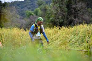 BIB: 245
                            <button type="button" onclick="openModal(13501037)" class="btn btn-primary btn-sm float-right btn-popup" data-toggle="modal" data-target=".modal-high-quality">
                        <i class="fas fa-shopping-cart"></i> Add to Cart
                    </button>
                                            <button type="button" onclick="isThisMe(13501037, true)" class="btn btn-success btn-sm float-right btn-popup btn-isme hidden" data-toggle="tooltip" data-placement="bottom" title="นี่คือรูปของคุณใช่ไหม คลิกที่นี่เพื่อเอาเข้าอัลบั้ม">
                        <i class="fas fa-plus"></i> Add to album
                    </button>
                    <button type="button" onclick="isThisMe(13501037, false)" class="btn btn-warning btn-sm float-right btn-popup btn-isnotme hidden">
                        <i class="fas fa-ban"></i> Remove from album
                    </button>